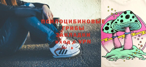 трава Новозыбков