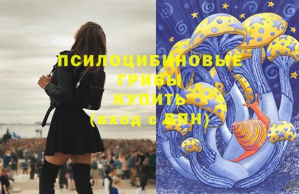 трава Новозыбков