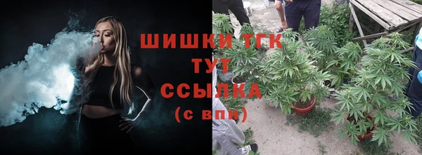 прущие грибы Нефтекумск