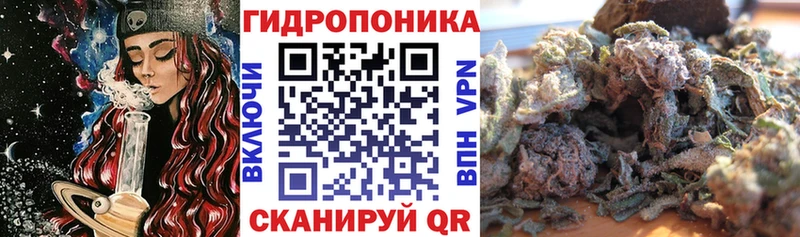 Бошки марихуана гибрид  Александровск-Сахалинский 